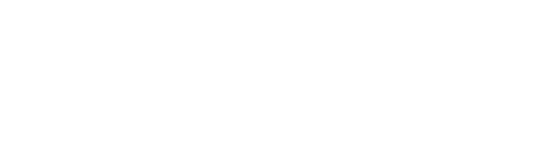 Assinatura de Leo Costanzo